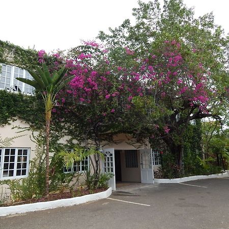 Mangos Jamaica Adults Only Hotel Falmouth Bagian luar foto