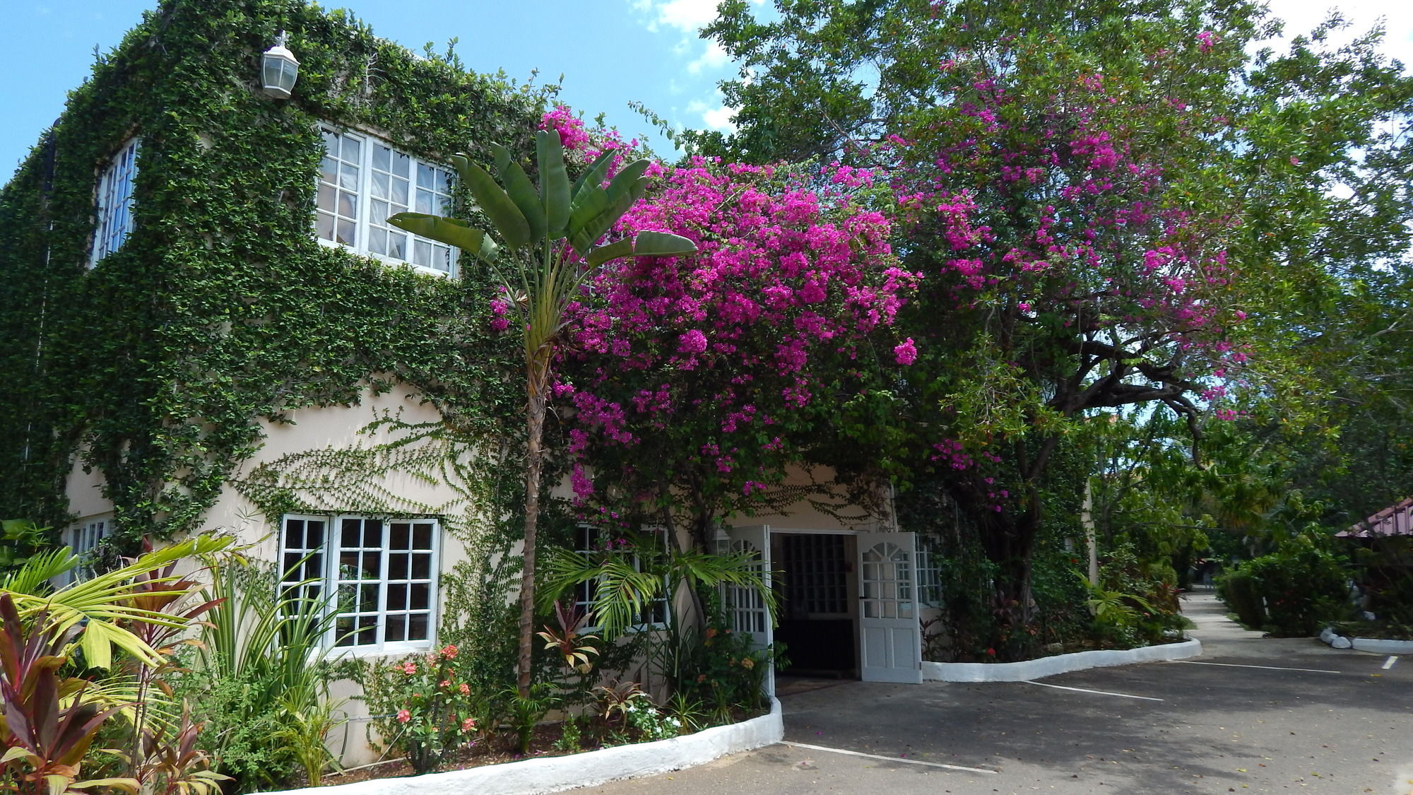 Mangos Jamaica Adults Only Hotel Falmouth Bagian luar foto